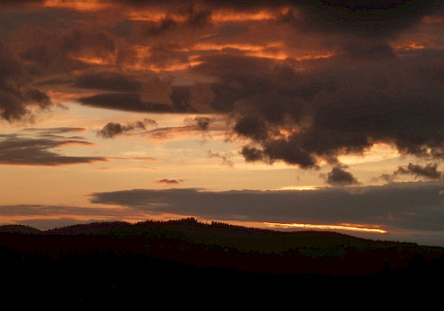 Mit welchen Themen kannst du zu mir kommen?